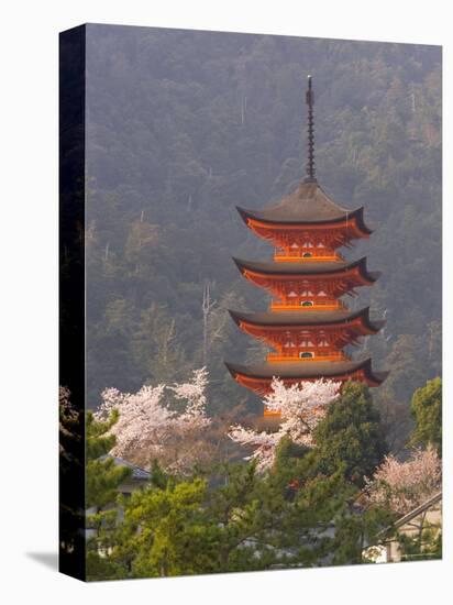 Cherry Blossoms (Sakura) and Famous Five-Storey Pagoda Dating from 1407, Island of Honshu, Japan-Gavin Hellier-Stretched Canvas