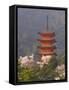 Cherry Blossoms (Sakura) and Famous Five-Storey Pagoda Dating from 1407, Island of Honshu, Japan-Gavin Hellier-Framed Stretched Canvas