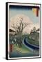 Cherry Blossoms, Tama River Embankment-Ando Hiroshige-Framed Stretched Canvas