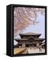 Cherry Blossoms, the Great Buddha Hall, Todaiji Temple, Nara, Honshu Island, Japan-Christian Kober-Framed Stretched Canvas