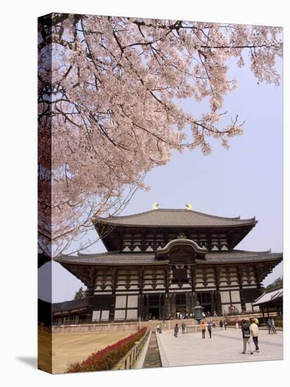 Cherry Blossoms, the Great Buddha Hall, Todaiji Temple, Nara, Honshu Island, Japan-Christian Kober-Stretched Canvas