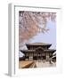 Cherry Blossoms, the Great Buddha Hall, Todaiji Temple, Nara, Honshu Island, Japan-Christian Kober-Framed Photographic Print