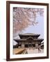 Cherry Blossoms, the Great Buddha Hall, Todaiji Temple, Nara, Honshu Island, Japan-Christian Kober-Framed Photographic Print