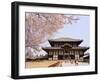 Cherry Blossoms, the Great Buddha Hall, Todaiji Temple, Nara, Honshu Island, Japan-Christian Kober-Framed Photographic Print