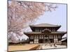 Cherry Blossoms, the Great Buddha Hall, Todaiji Temple, Nara, Honshu Island, Japan-Christian Kober-Mounted Photographic Print