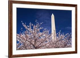 Cherry blossoms under the Washington Monument, Washington DC, USA-Russ Bishop-Framed Premium Photographic Print