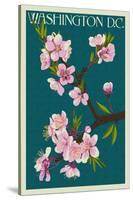 Cherry Blossoms - Washington DC-Lantern Press-Stretched Canvas