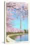 Cherry Blossoms, Washington Monument, Washington D.C.-null-Stretched Canvas