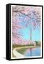 Cherry Blossoms, Washington Monument, Washington D.C.-null-Framed Stretched Canvas