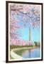 Cherry Blossoms, Washington Monument, Washington D.C.-null-Framed Art Print