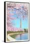 Cherry Blossoms, Washington Monument, Washington D.C.-null-Framed Stretched Canvas