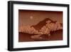 Cherry Blossoms-Ando Hiroshige-Framed Art Print