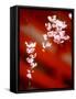 Cherry Blossoms-null-Framed Stretched Canvas