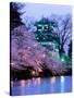 Cherry Blossoms-null-Stretched Canvas