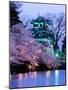 Cherry Blossoms-null-Mounted Premium Photographic Print