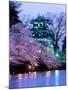 Cherry Blossoms-null-Mounted Premium Photographic Print