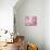 Cherry Blossoms-null-Stretched Canvas displayed on a wall