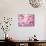 Cherry Blossoms-null-Stretched Canvas displayed on a wall
