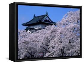 Cherry Blossoms-null-Framed Stretched Canvas