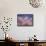 Cherry Blossoms-null-Framed Stretched Canvas displayed on a wall