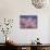 Cherry Blossoms-null-Mounted Photographic Print displayed on a wall