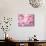 Cherry Blossoms-null-Photographic Print displayed on a wall