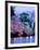 Cherry Blossoms-null-Framed Photographic Print