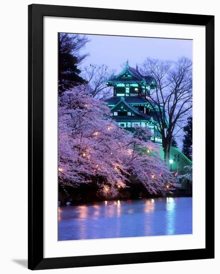 Cherry Blossoms-null-Framed Photographic Print