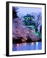 Cherry Blossoms-null-Framed Photographic Print