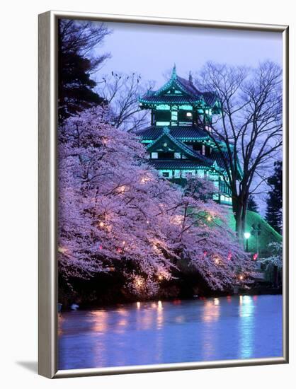 Cherry Blossoms-null-Framed Photographic Print