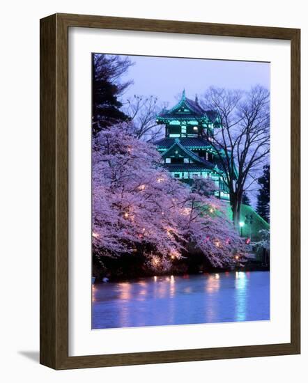 Cherry Blossoms-null-Framed Photographic Print