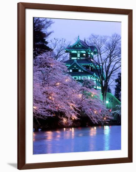 Cherry Blossoms-null-Framed Photographic Print