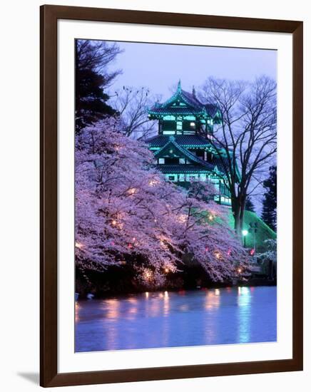 Cherry Blossoms-null-Framed Photographic Print