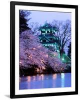 Cherry Blossoms-null-Framed Photographic Print