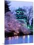 Cherry Blossoms-null-Mounted Photographic Print