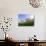 Cherry Blossoms-null-Photographic Print displayed on a wall