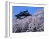 Cherry Blossoms-null-Framed Photographic Print