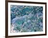 Cherry Blossoms-null-Framed Photographic Print