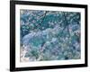 Cherry Blossoms-null-Framed Photographic Print