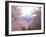 Cherry Blossoms-null-Framed Photographic Print