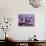 Cherry Blossoms-null-Mounted Photographic Print displayed on a wall