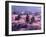 Cherry Blossoms-null-Framed Photographic Print