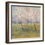 Cherry Blossoms-Simon Addyman-Framed Art Print