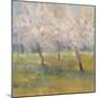 Cherry Blossoms-Simon Addyman-Mounted Art Print