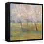 Cherry Blossoms-Simon Addyman-Framed Stretched Canvas