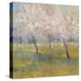 Cherry Blossoms-Simon Addyman-Stretched Canvas