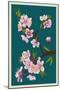 Cherry Blossoms-Lantern Press-Mounted Art Print