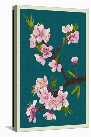 Cherry Blossoms-Lantern Press-Stretched Canvas