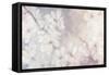 Cherry Blossoms-Julia Purinton-Framed Stretched Canvas