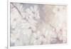 Cherry Blossoms-Julia Purinton-Framed Art Print